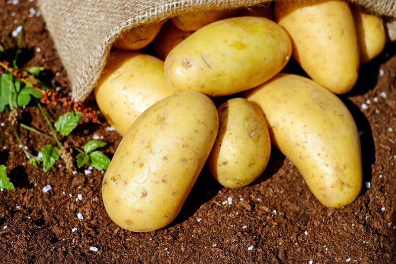 Fresh produce